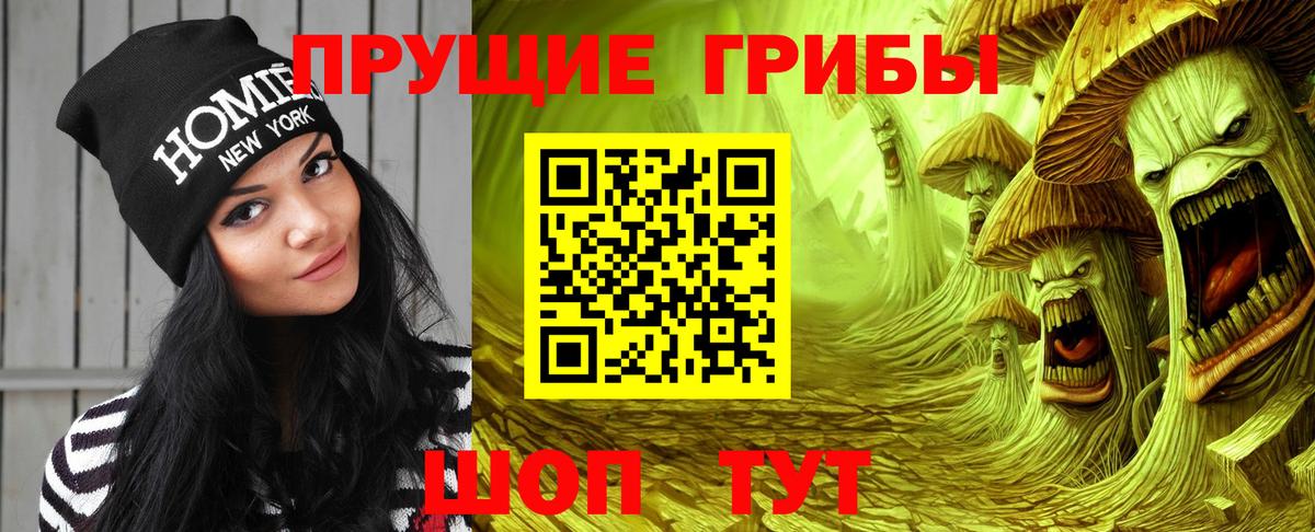 Галлюциногенные грибы Psilocybe Кушва