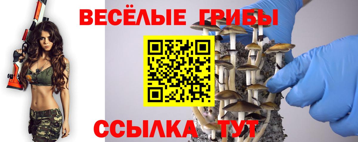 Кушва  Галлюциногенные грибы мицелий  Псилоцибиновые грибы Psilocybine cubensis  Вход с VPN 