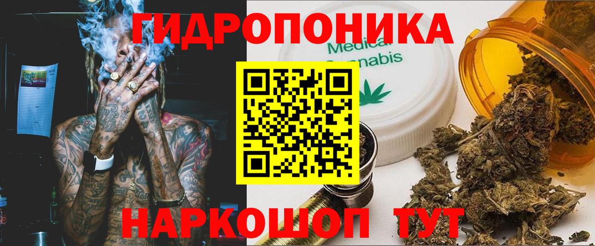 Бошки марихуана SATIVA & INDICA  Бошки Шишки марихуана  Кушва  Канабис VHQ  Вход с VPN 